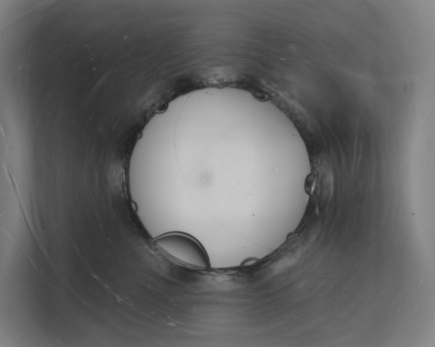 X0000112140523200908211355