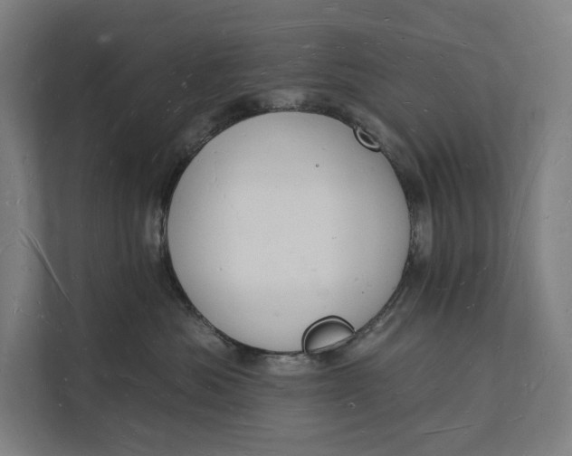 X0000112140525200908211355