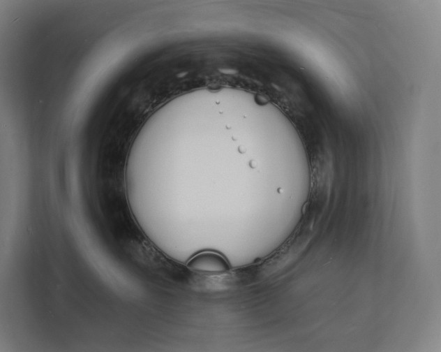 X0000112140527200908211355