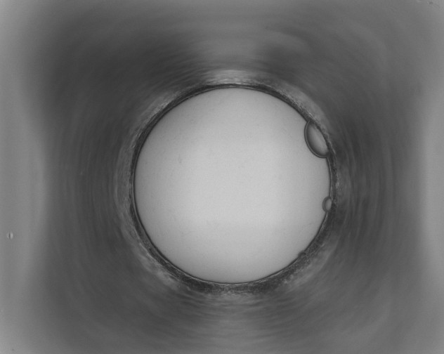 X0000112140529200908211355