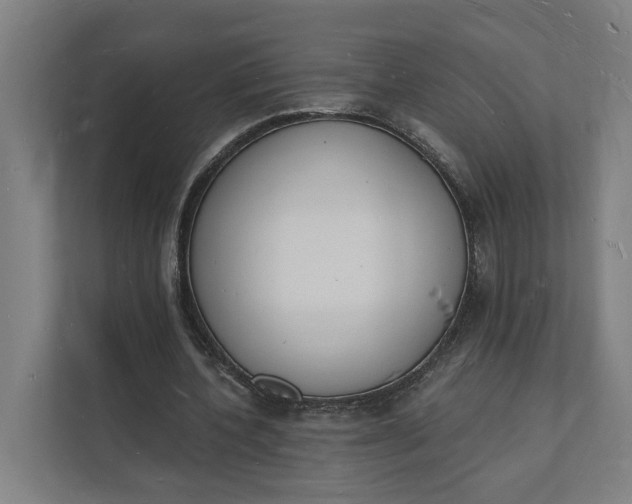 X0000112140532200908211355