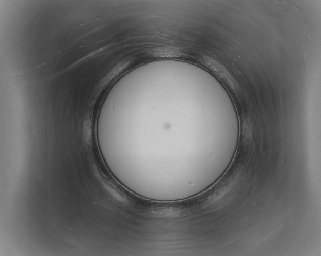 X0000112140533200908211355