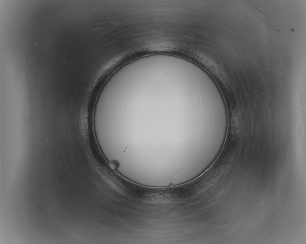 X0000112140535200908211355