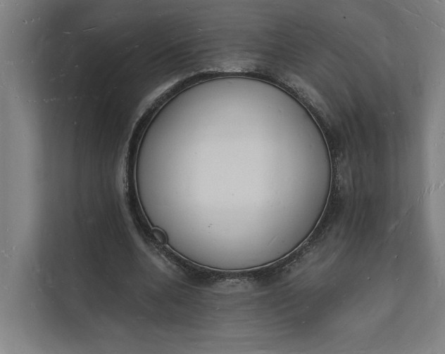 X0000112140536200908211355