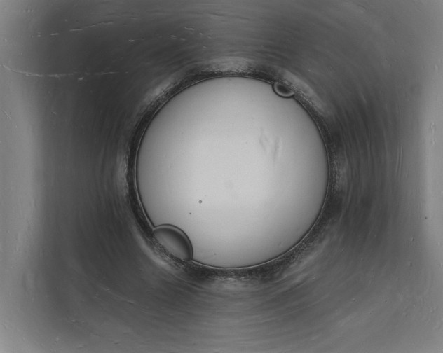 X0000112140538200908211355