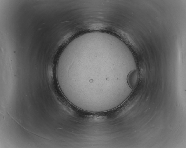 X0000112140539200908211355