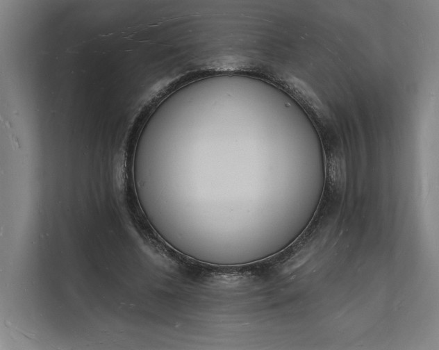 X0000112140540200908211355