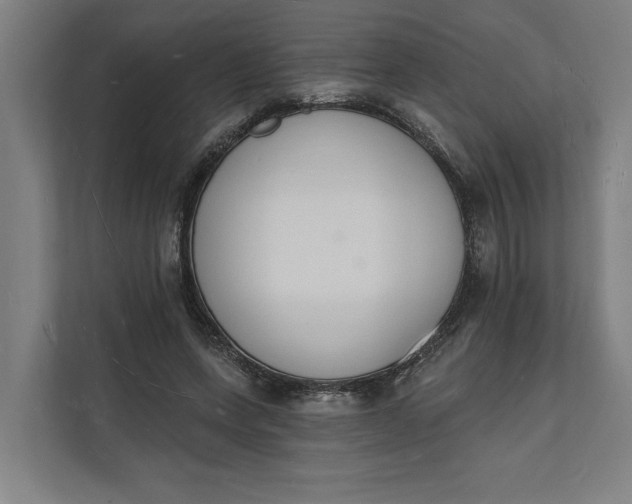 X0000112140543200908211355