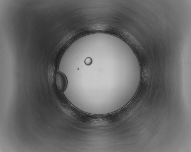 X0000112140544200908211355