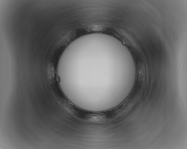 X0000112140555200908211355