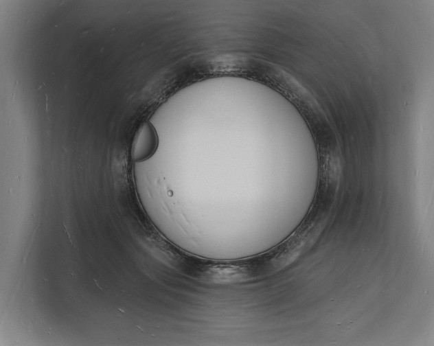 X0000112140557200908211355