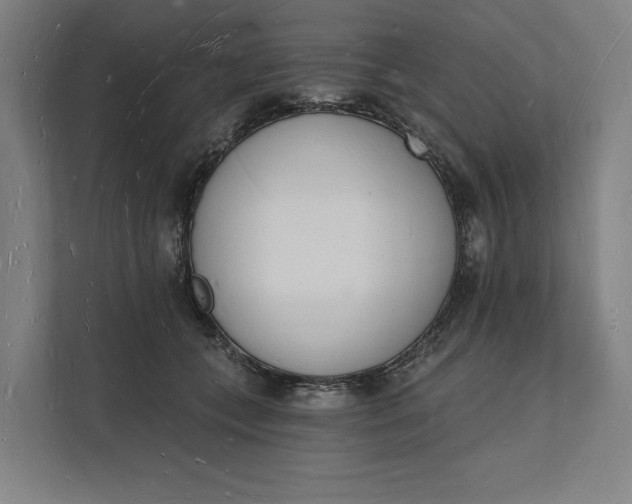 X0000112140559200908211355