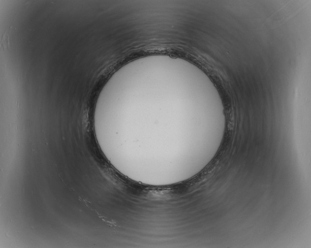 X0000112140560200908211355