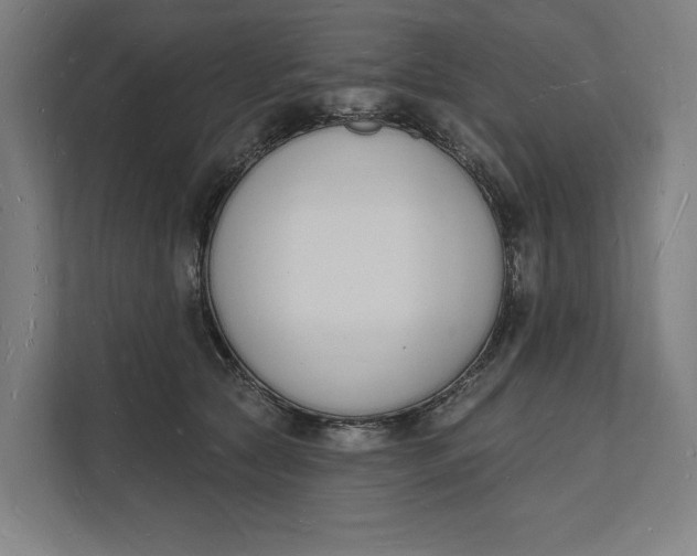 X0000112140561200908211355