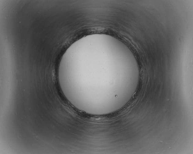 X0000112140564200908211355