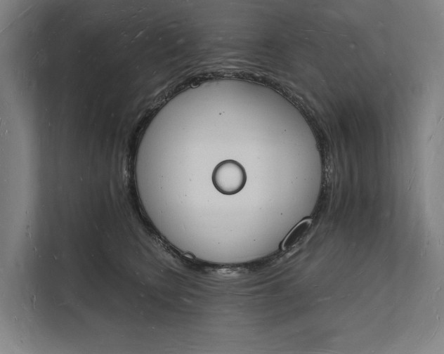 X0000112140566200908211355