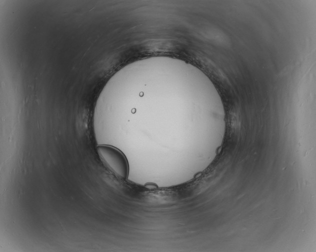 X0000112140567200908211355