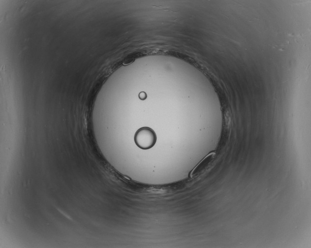 X0000112140570200908211355