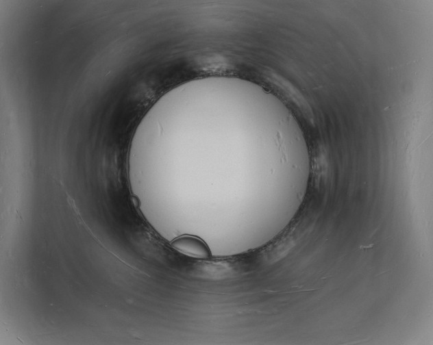 X0000112140572200908211355