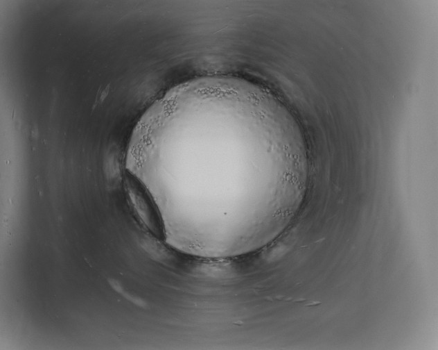 X0000112140576200908211355