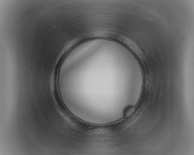 X0000112140578200908211354