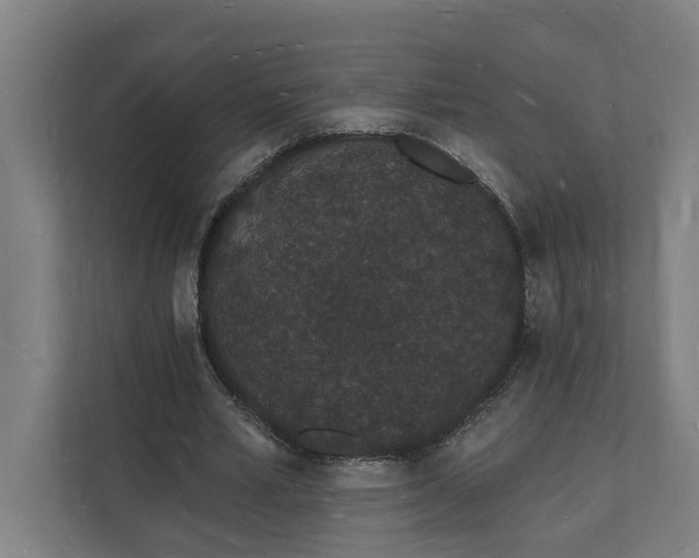 X0000112140581200908211354