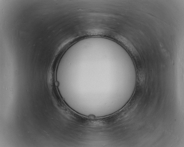 X0000112140583200908211354