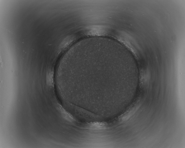 X0000112140585200908211354