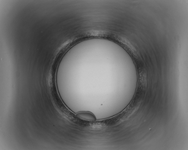 X0000112140587200908211354