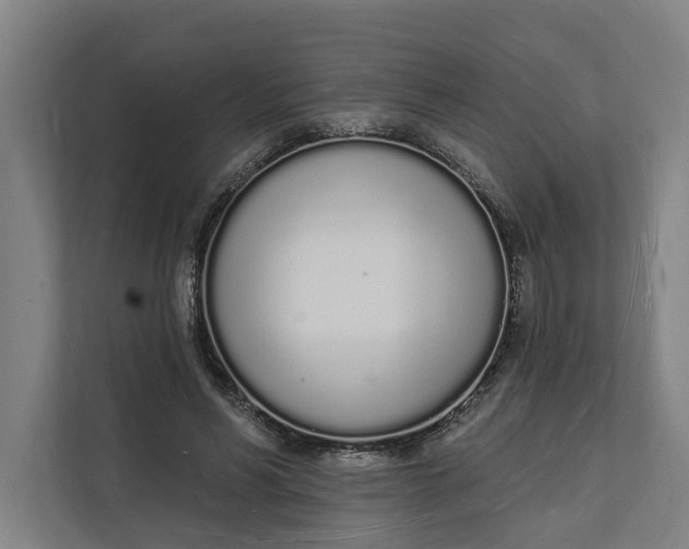 X0000112140590200908211354