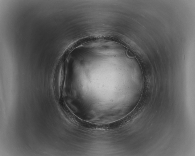 X0000112140592200908211354