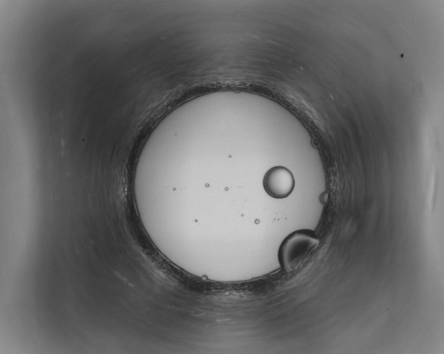 X0000112140593200908211354