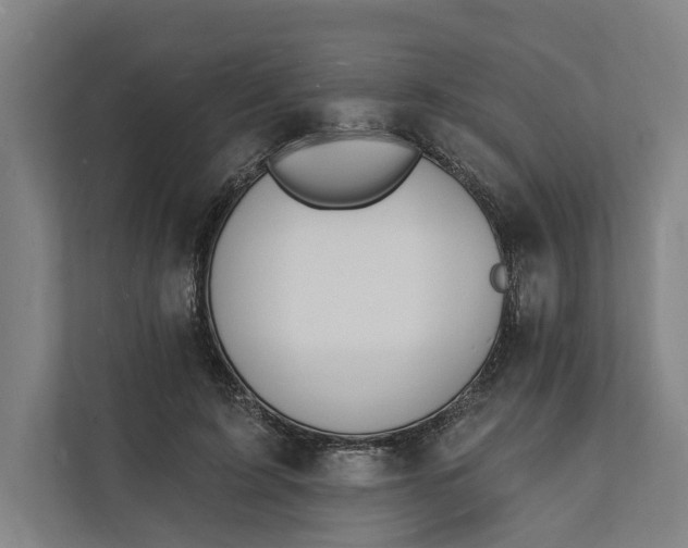 X0000112140595200908211354