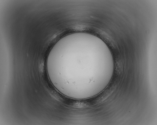 X0000112140596200908211354