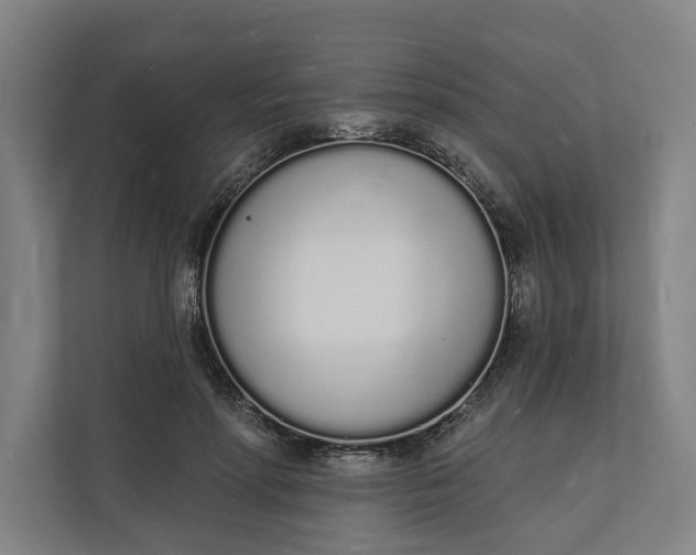 X0000112140598200908211354