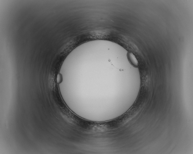 X0000112140599200908211354