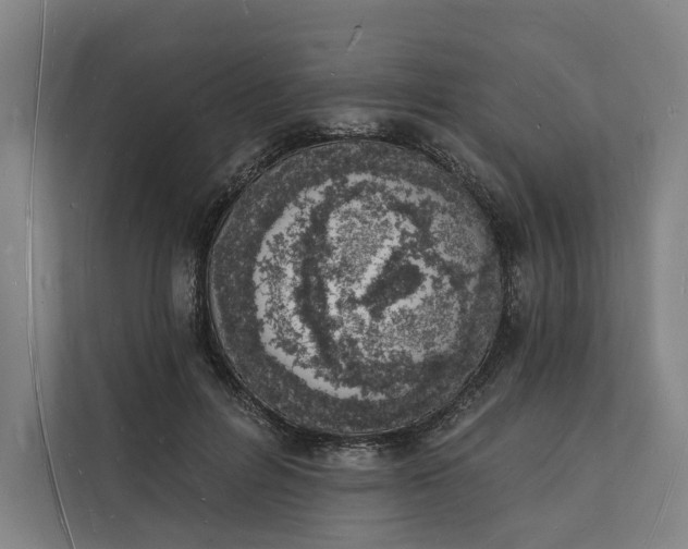 X0000112140600200908211354