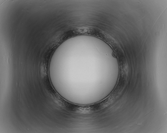 X0000112140606200908211354