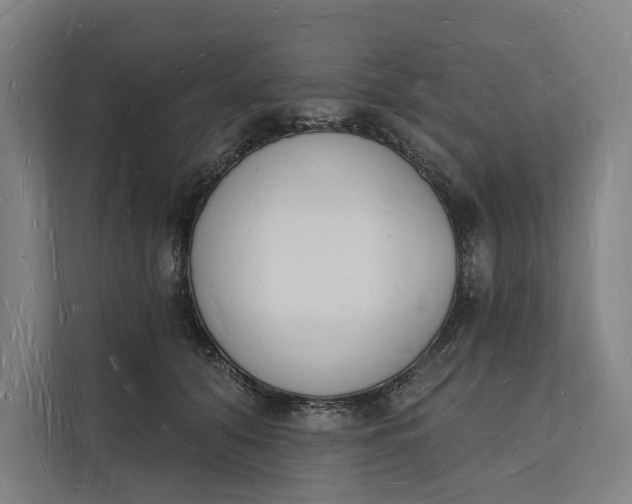 X0000112140608200908211354