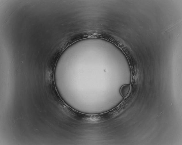 X0000112140610200908211354