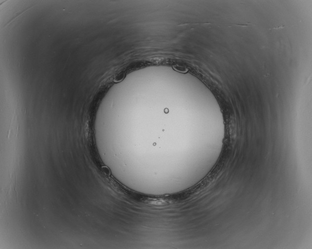 X0000112140611200908211354