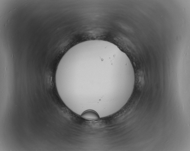 X0000112140615200908211354