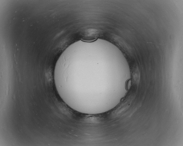 X0000112140620200908211354