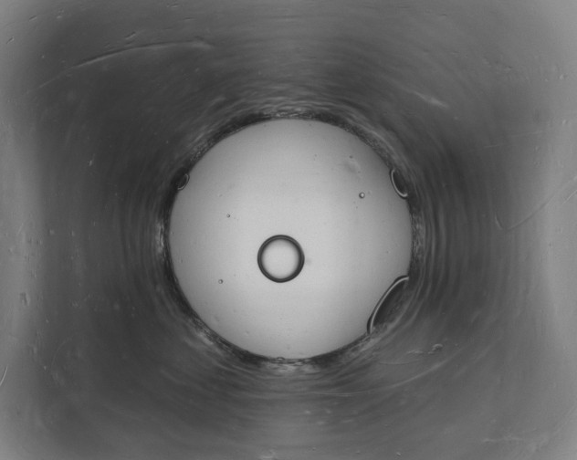 X0000112140621200908211354