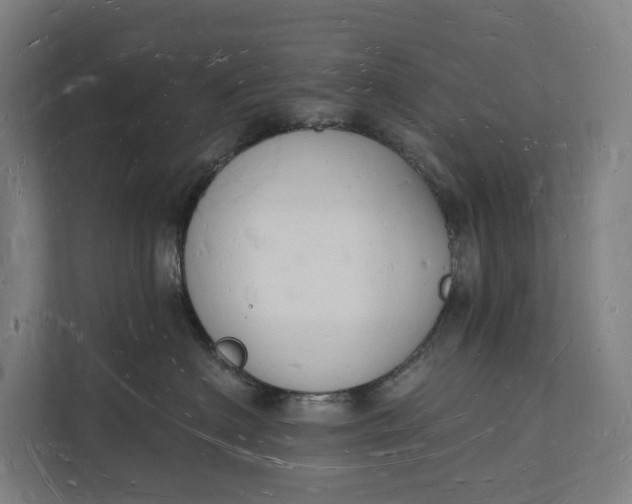 X0000112140622200908211354