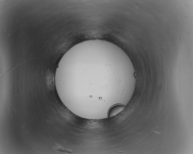 X0000112140624200908211354