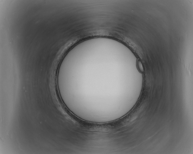 X0000112140625200908211353