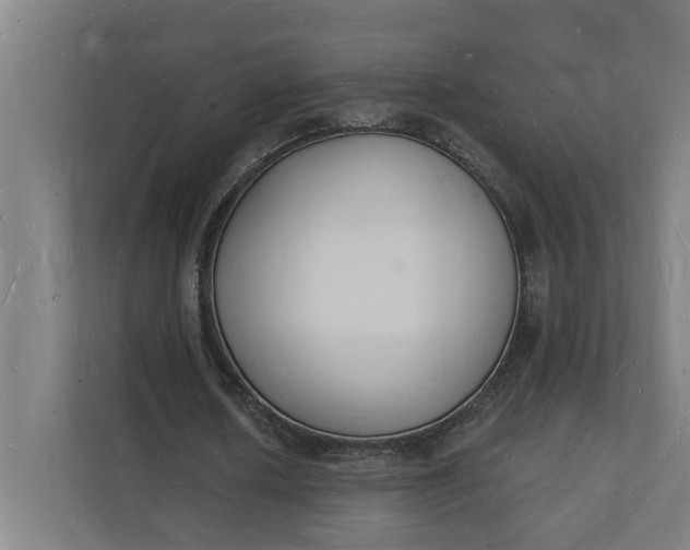 X0000112140626200908211353