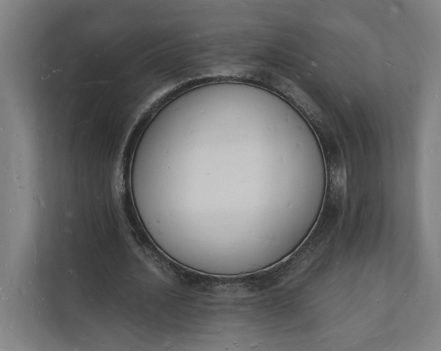 X0000112140628200908211353