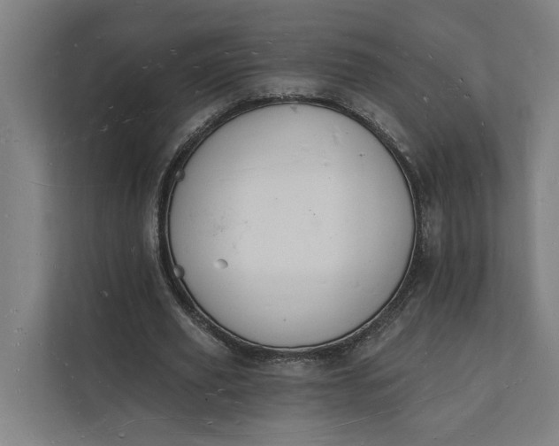 X0000112140629200908211353